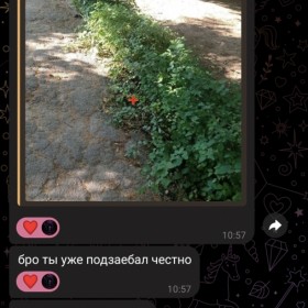 kept.com.ua